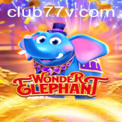 Discovering WonderElephant: A Journey into CLUB77